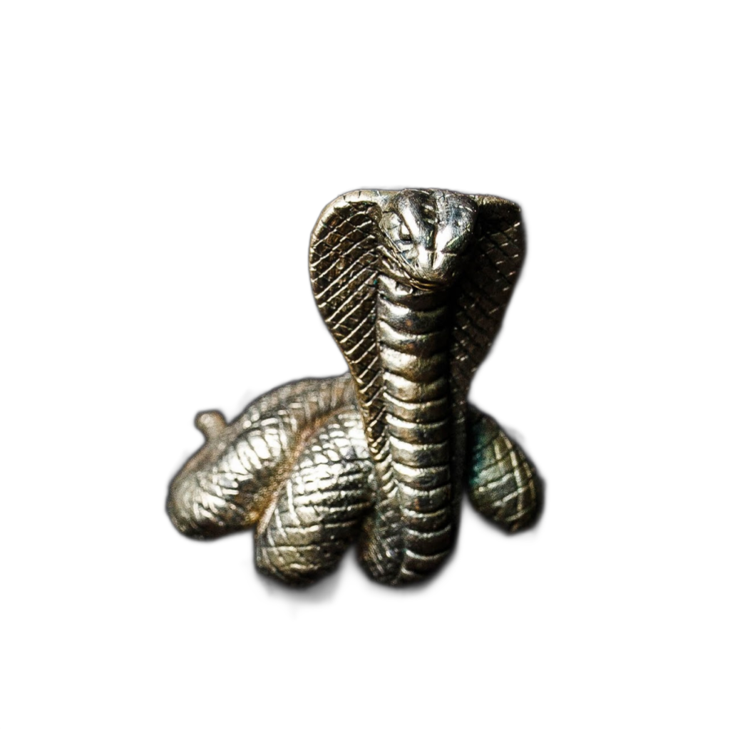 Snake_1