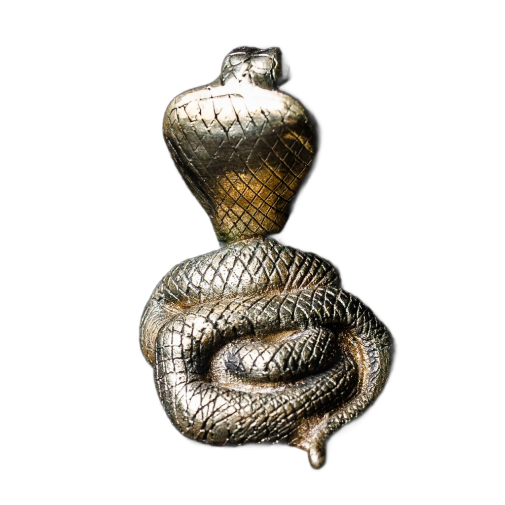 Snake_3